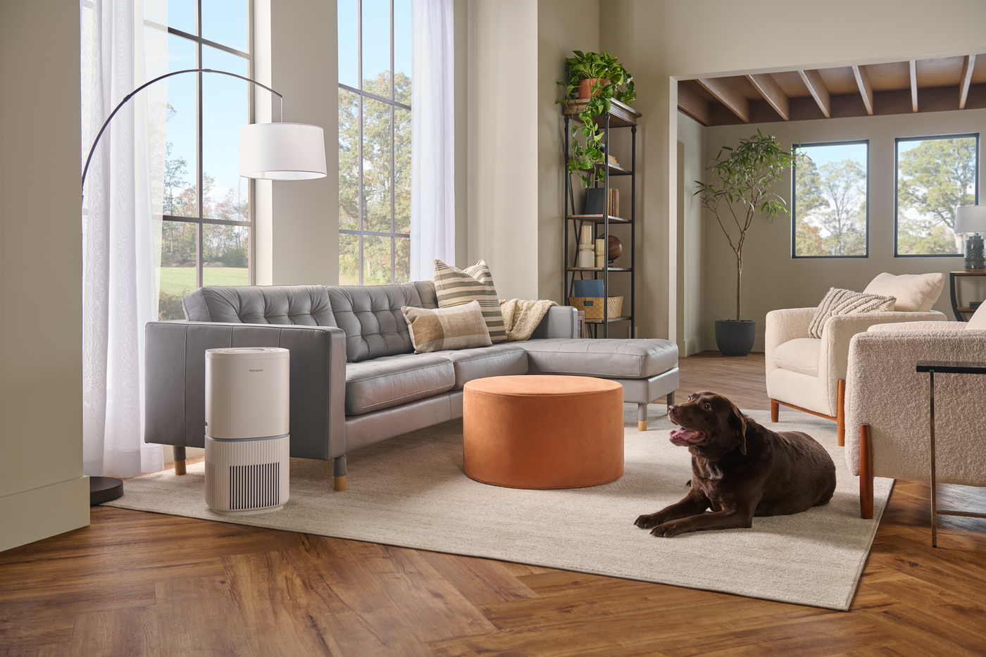 Air purifiers fight allergens