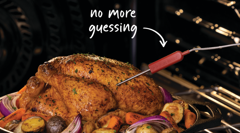 Temperature Probe-image