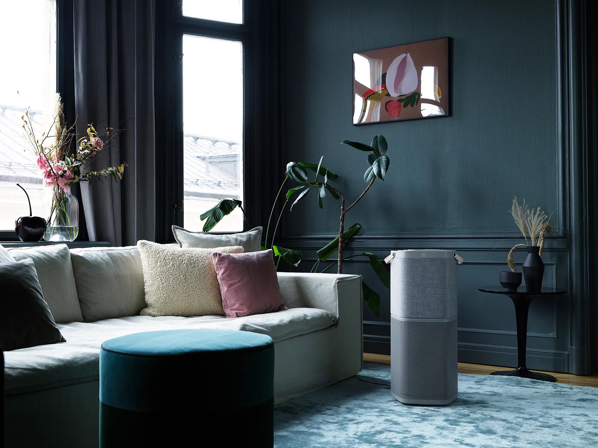 401 Sq. Ft. Air Purifier | Air Purifiers | Electrolux