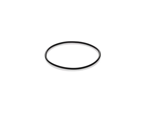Replacement O-Ring for WFCB Water Filter Clear-218720100