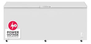 25 Cu. Ft. Garage Ready Chest Freezer - FFCL2562AW