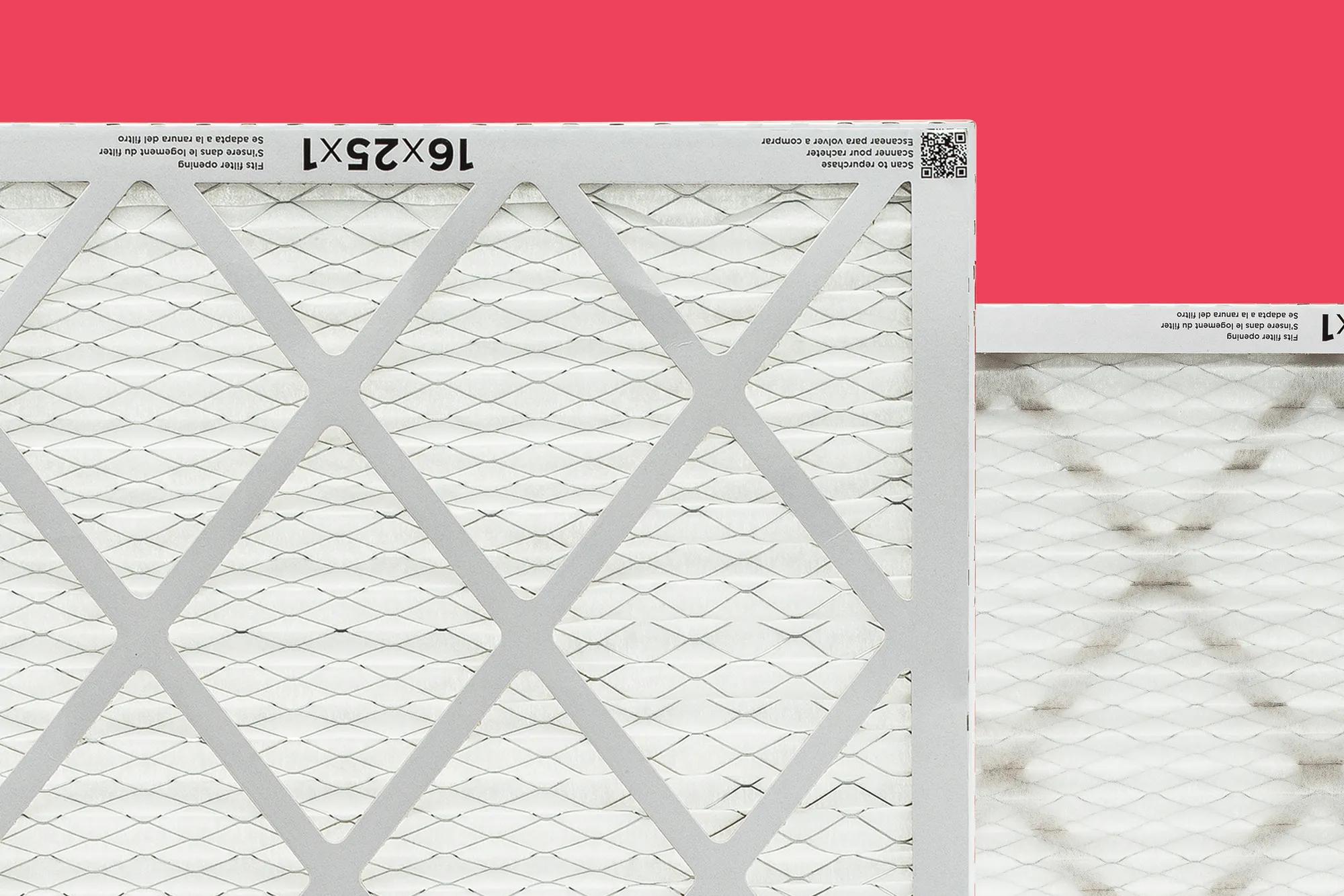 Photography - Feature