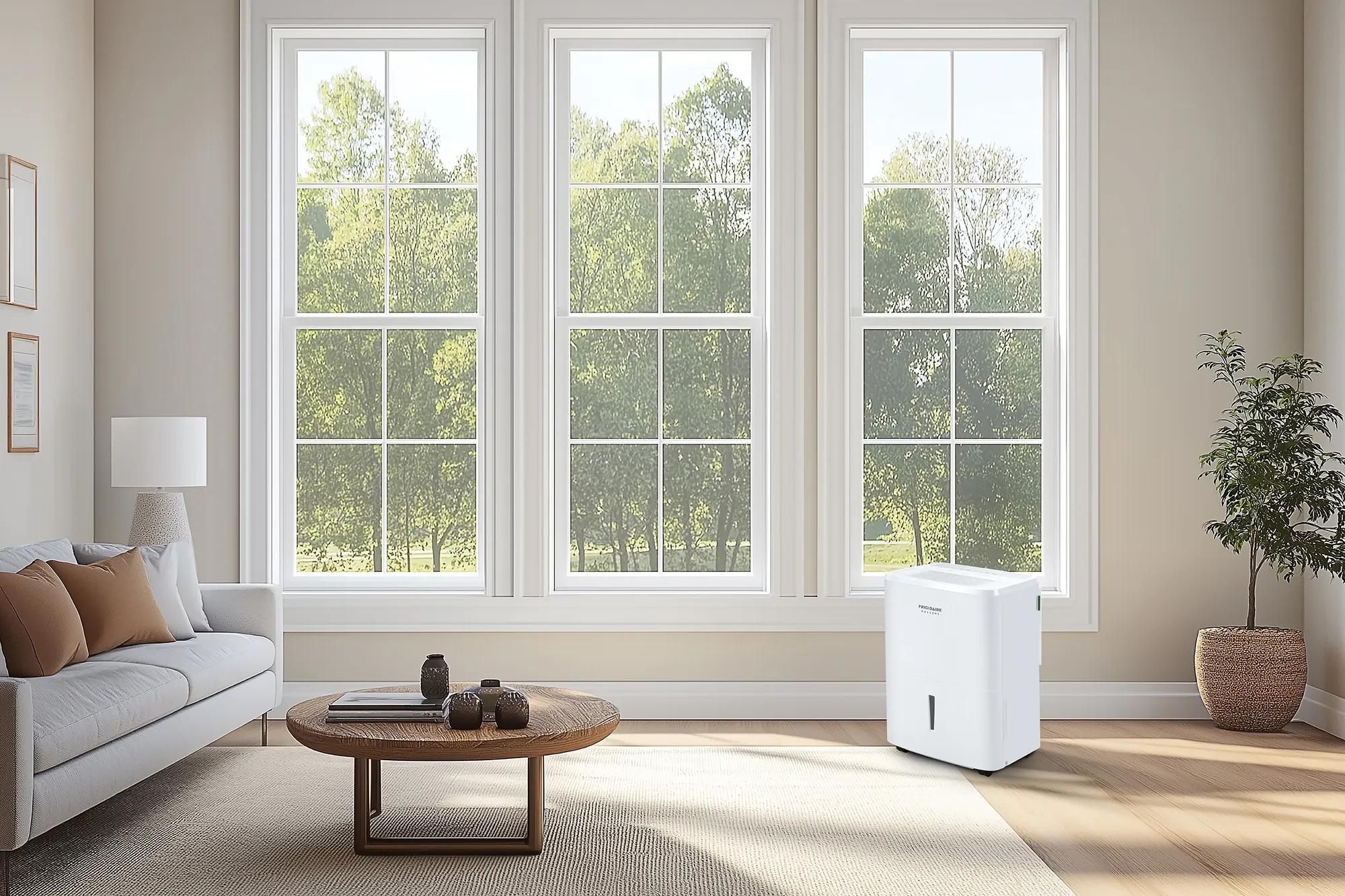 Photography - Feature