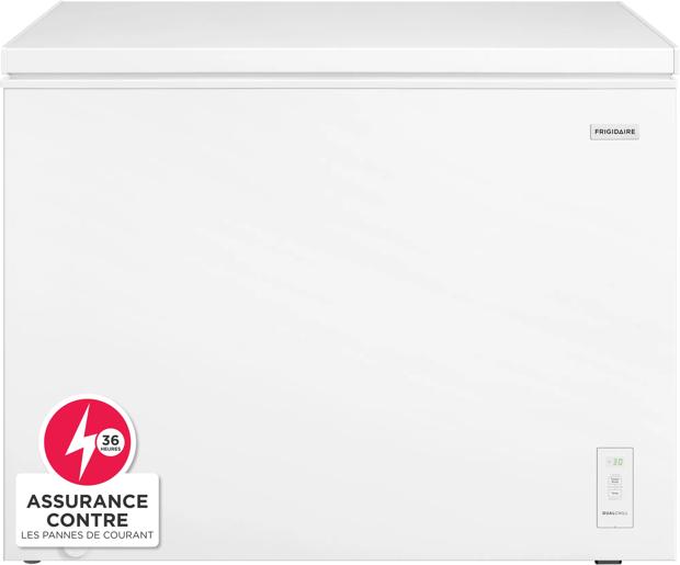 Congélateur horizontal de 10 pi³ prêt pour le garage Blanc-FFCS1062AW