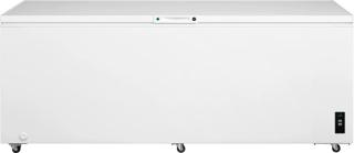 25 Cu. Ft. Garage Ready Chest Freezer
