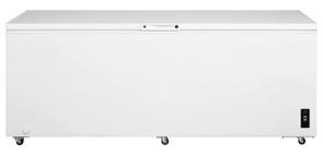 25 Cu. Ft. Garage Ready Chest Freezer - FFCL2542AW