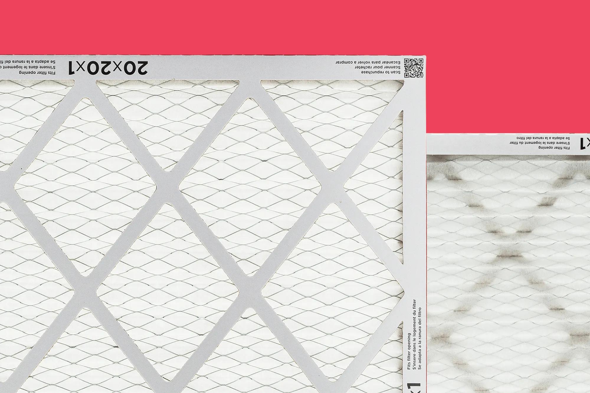 Photography - Feature