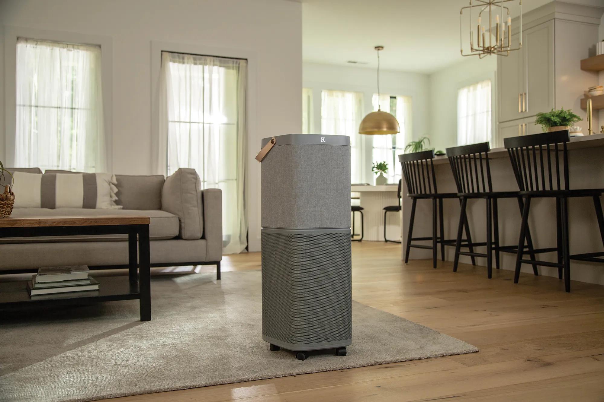401 Sq. Ft. Air Purifier | Air Purifiers | Electrolux