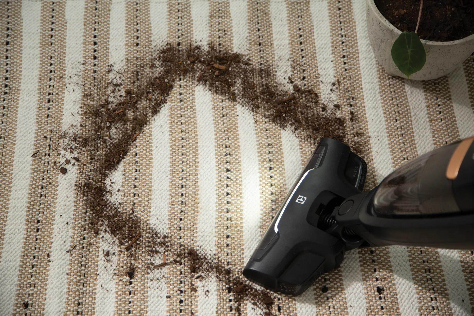 Photography - Feature