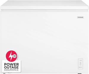 10 Cu. Ft. Garage Ready Convertible Chest Freezer