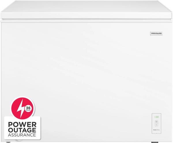 10 Cu. Ft. Garage Ready Chest Freezer