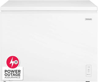 10 Cu. Ft. Garage Ready Convertible Chest Freezer