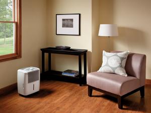 25 Pint Capacity Dehumidifier