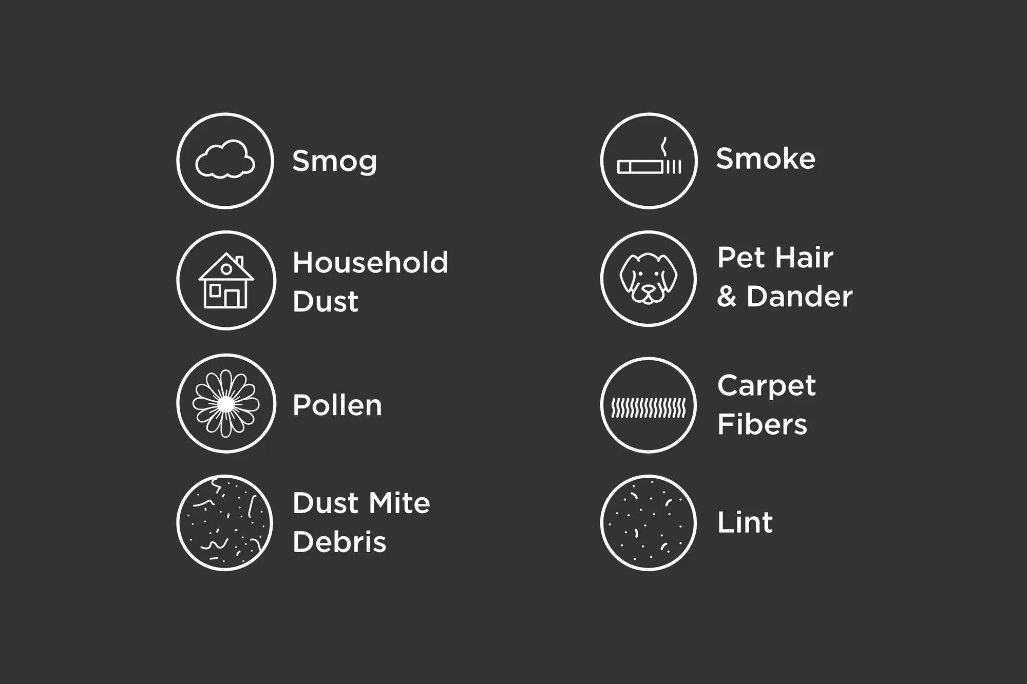 Capture les allergènes courants et les particules en suspension dans l’air