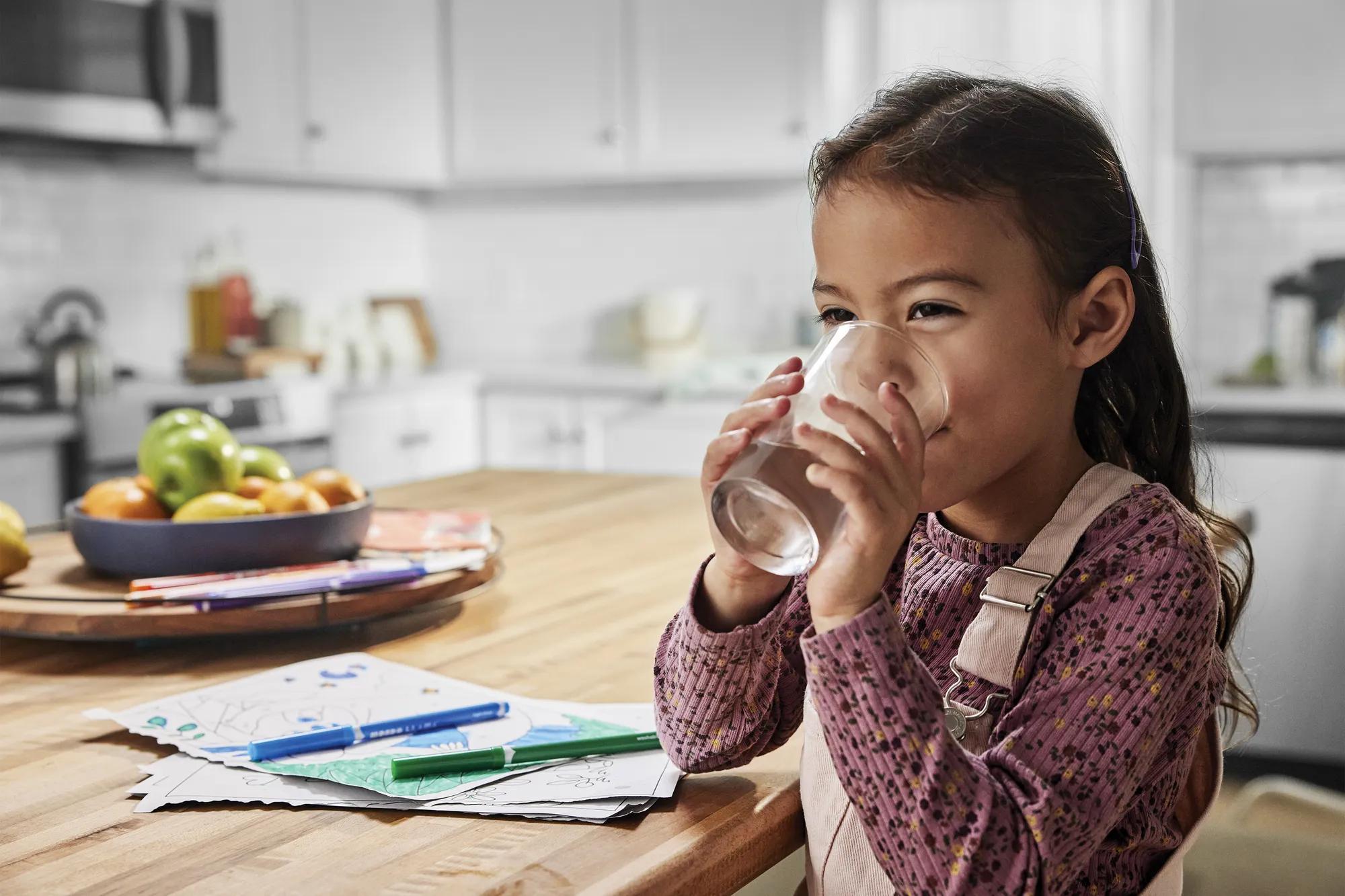 Water Filter Reduces up to 99% of Contaminants