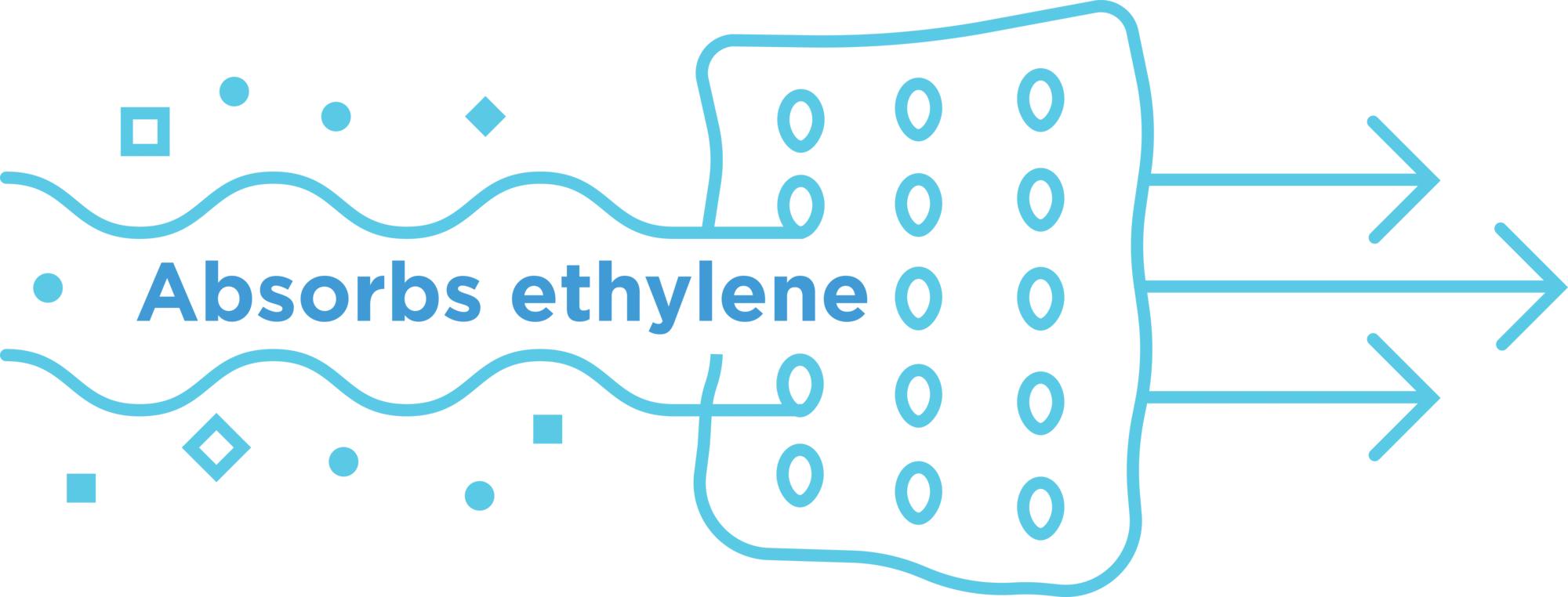 Antioxidant Technology Helps To Preserve The Taste, Color, and Overall Freshness of Your Produce