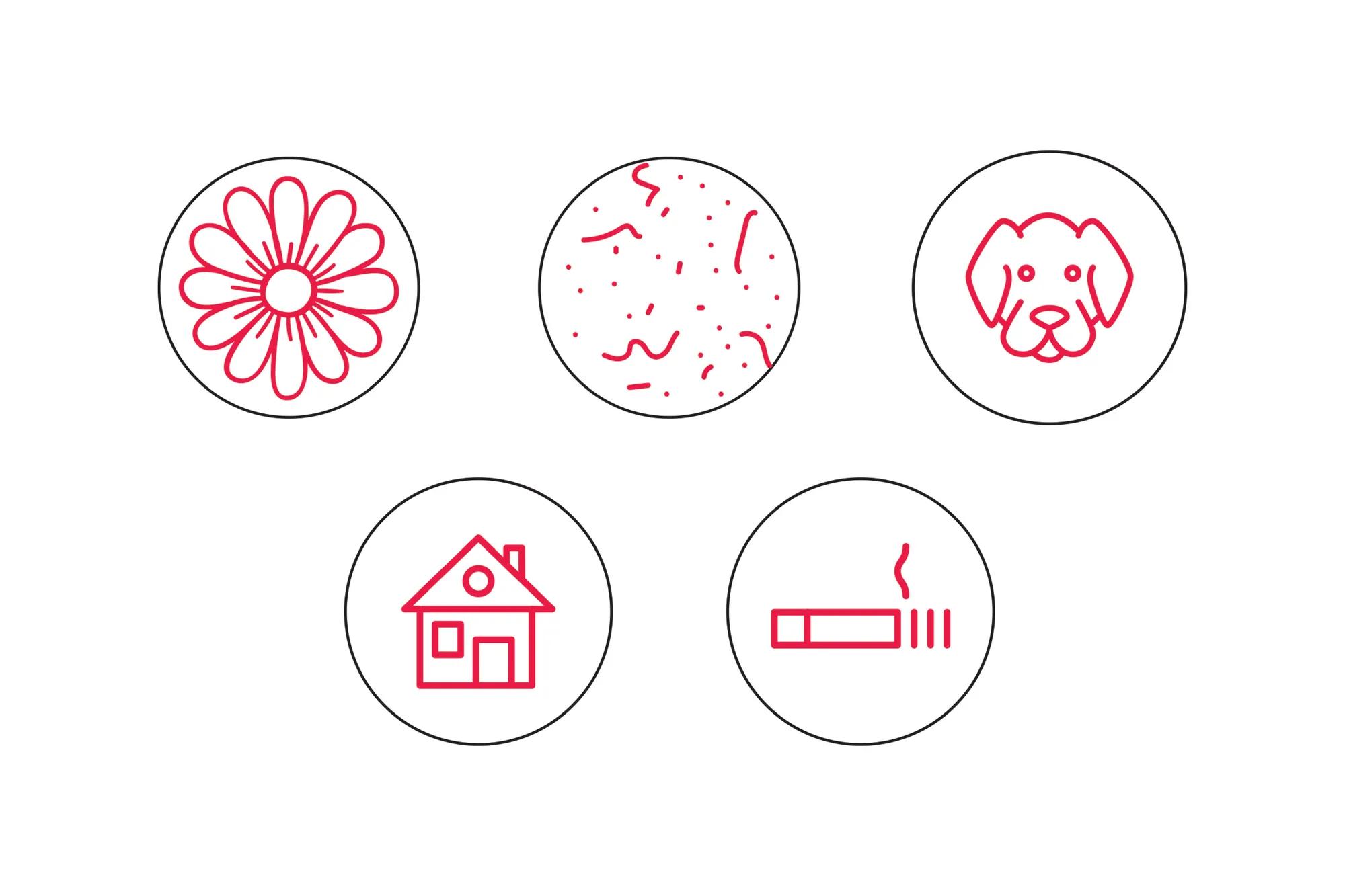 Photography - Feature