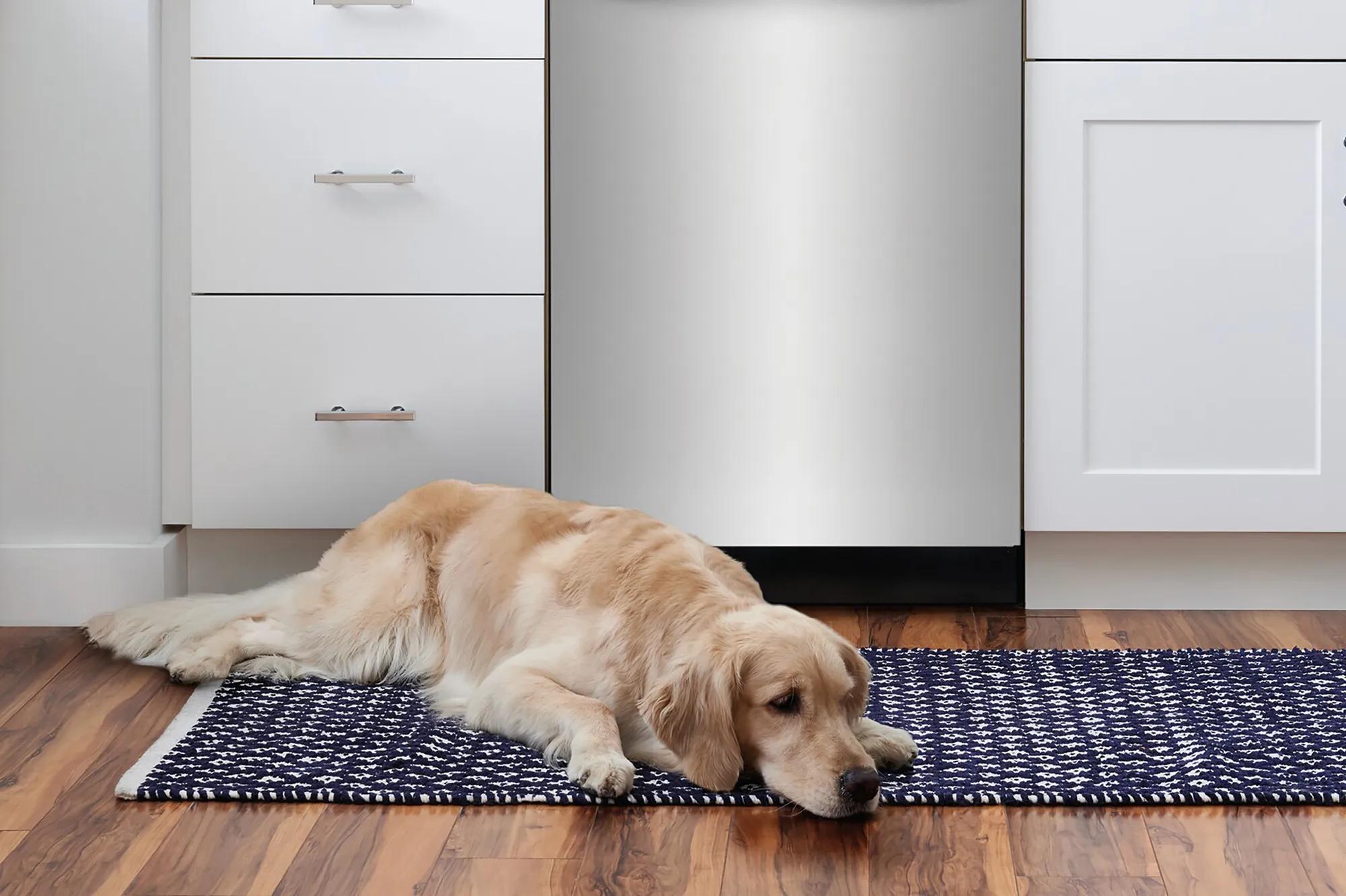 Photography - Feature