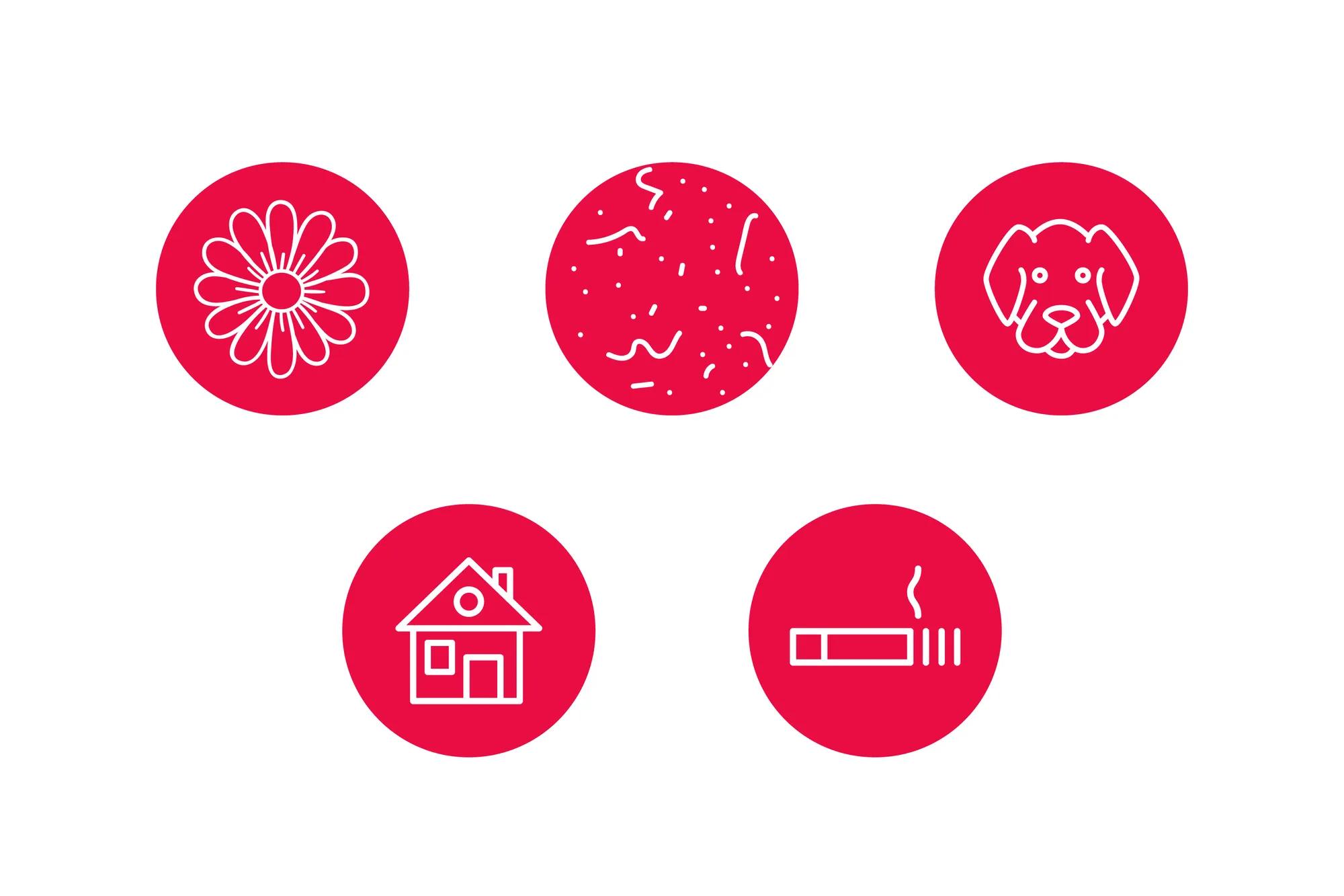 Photography - Feature