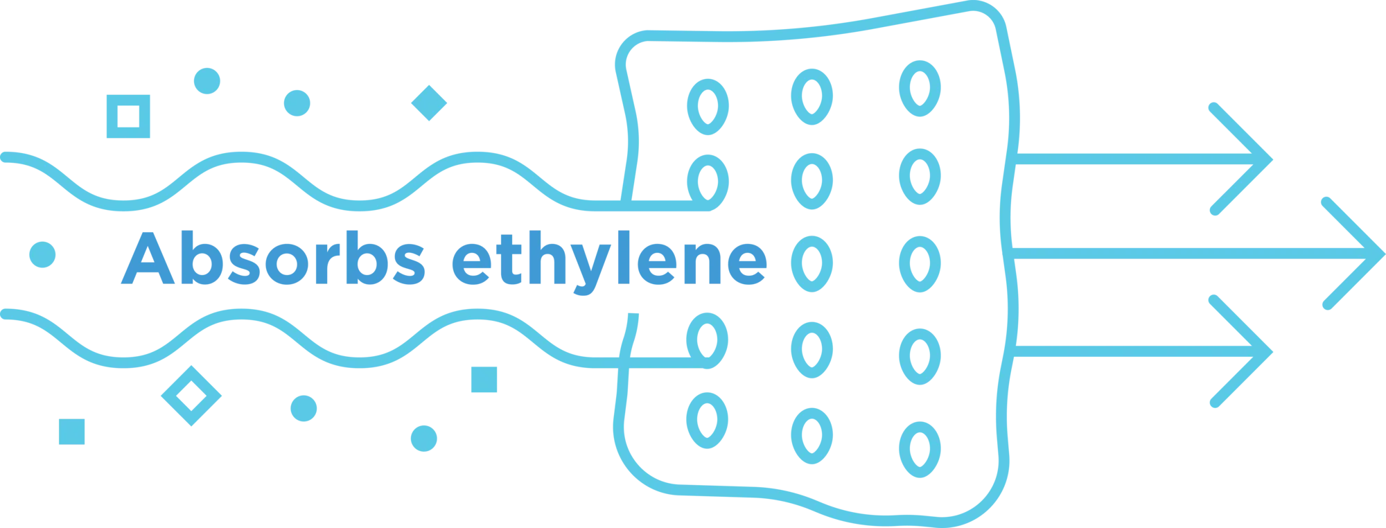 Photography - Feature